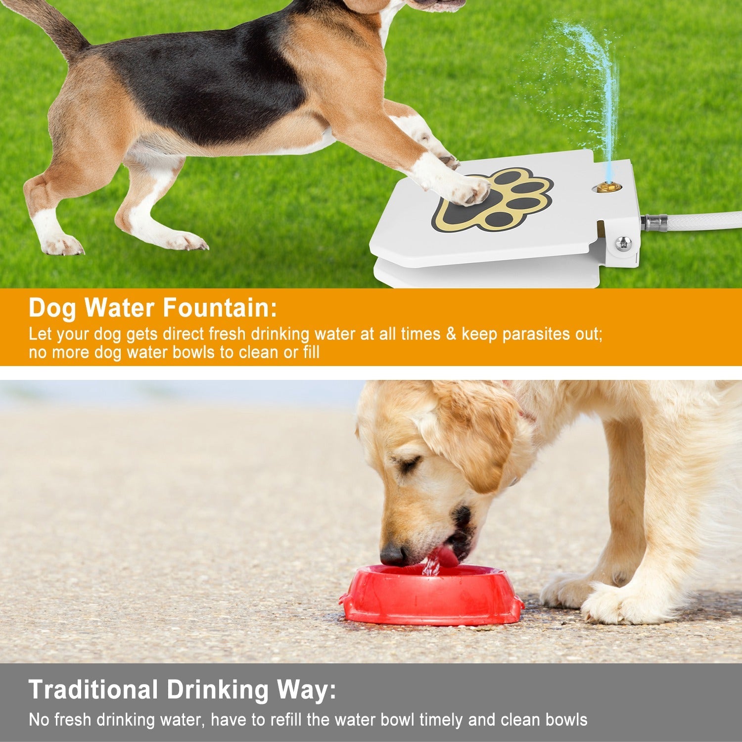 Fontaine d'Eau Extérieure pour Chien - Hydratation Ludique