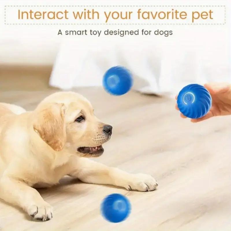 Balle rebondissante bleue et orange pour chats et animaux amusants
