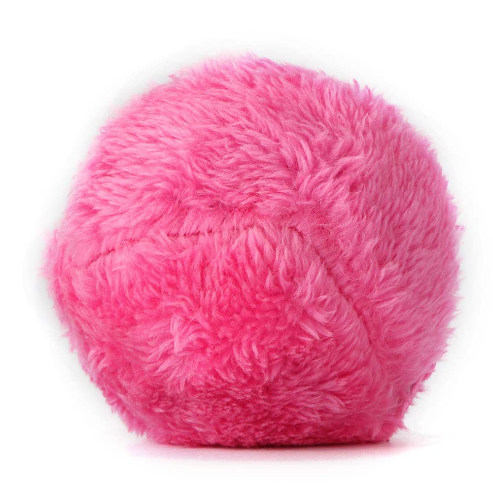 Balle magique pour chiens et chats
