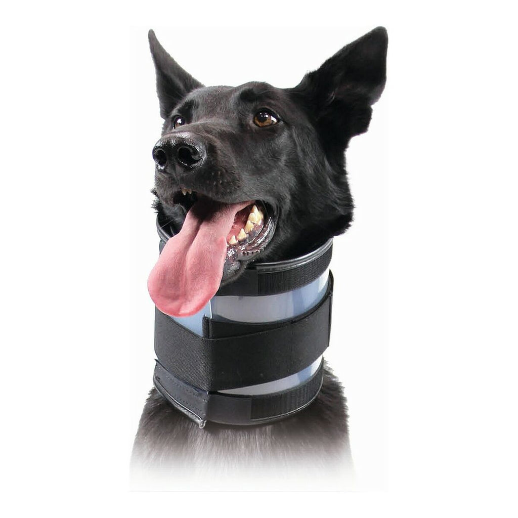 Collier Cervical pour Chiens KVP Noir