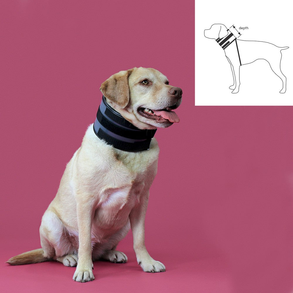 Collier Cervical pour Chiens KVP Noir