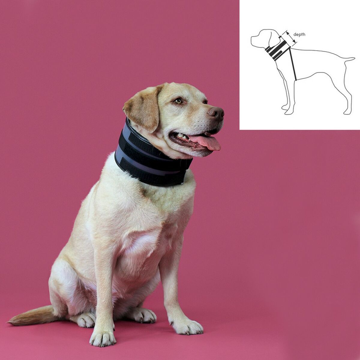 Collier Cervical pour Chiens KVP Noir