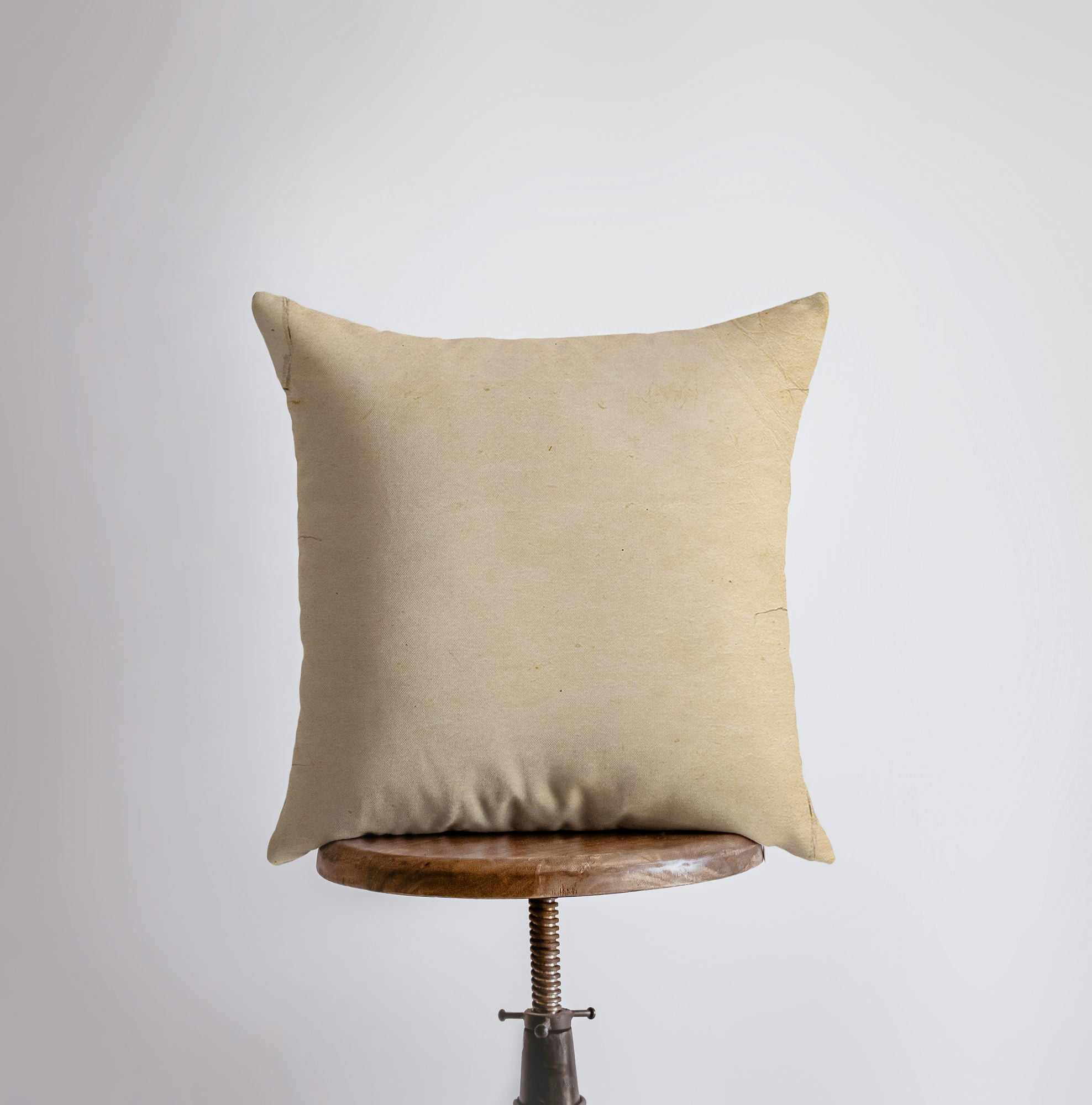 Coussin Bouledogue Français