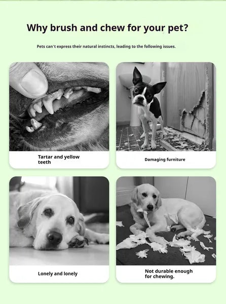 Brosse à dents en forme de saucisse pour chien