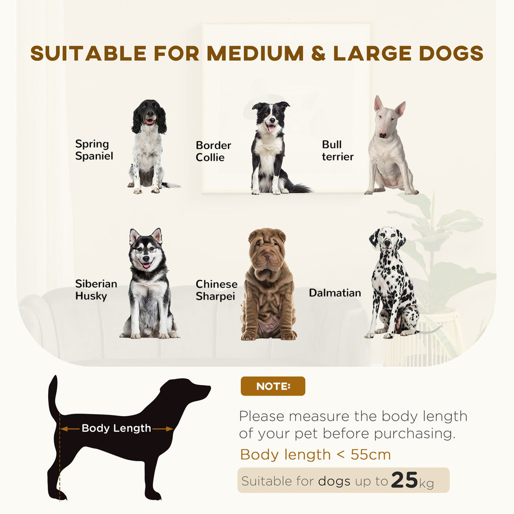 Canapé design pour chiens : confort royal pour vos compagnons