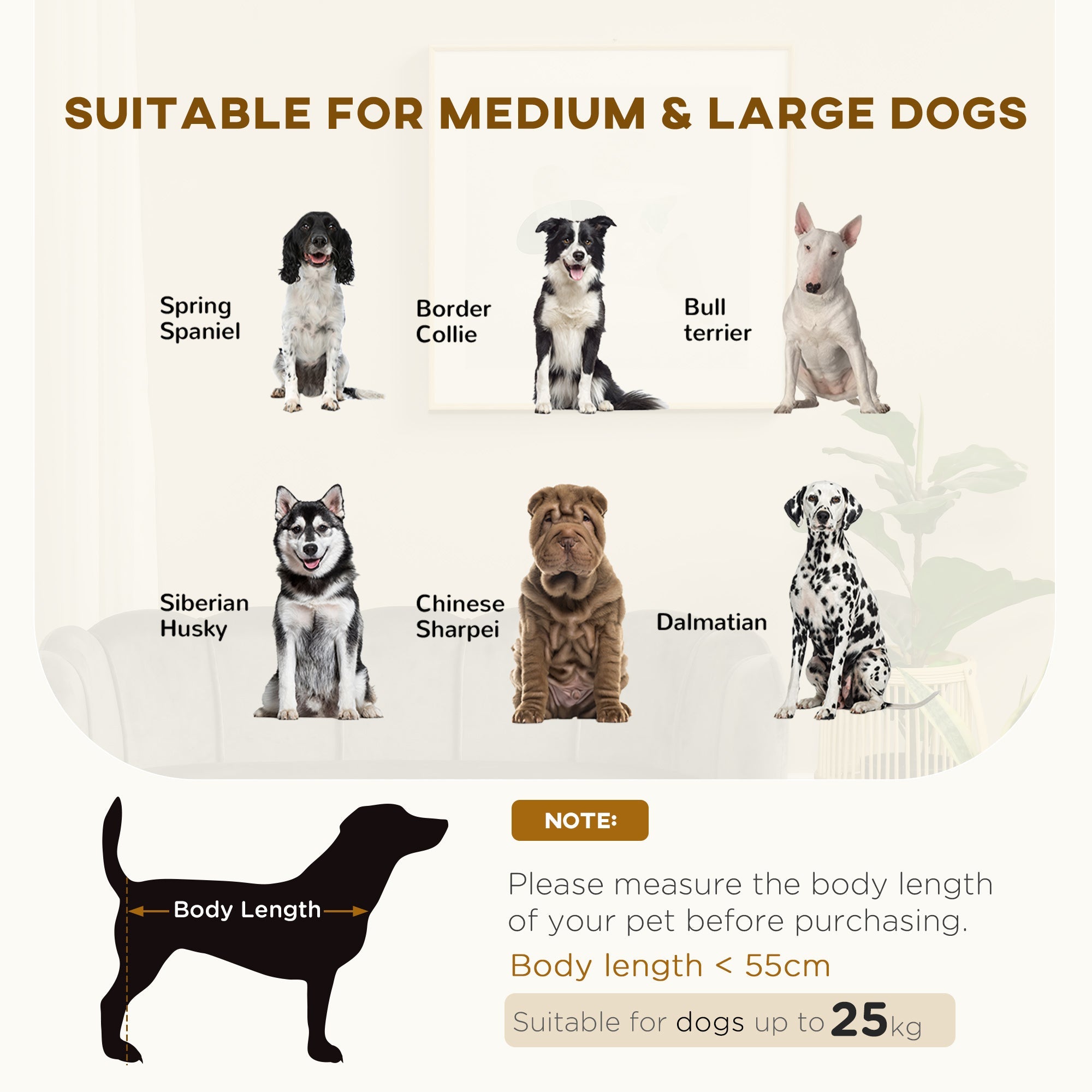 Canapé design pour chiens : confort royal pour vos compagnons