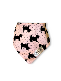 Bandana Chien Rose