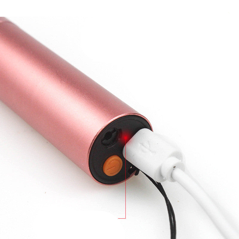 2 in 1 Chat Detection Lamp Laser Funny Chat Stick Test Pen