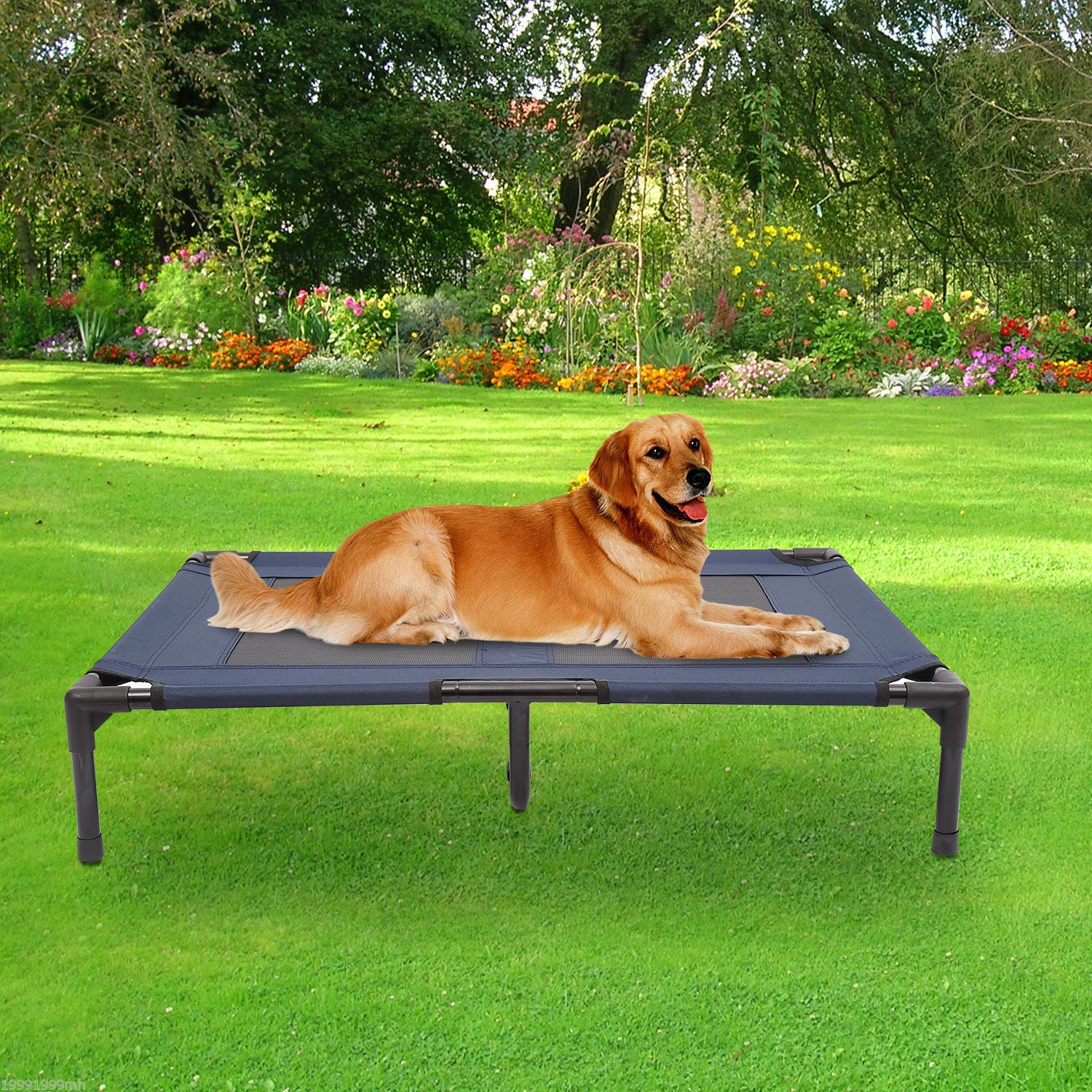 Lit surélevé pour chien et chat, confortable et rafraîchissant