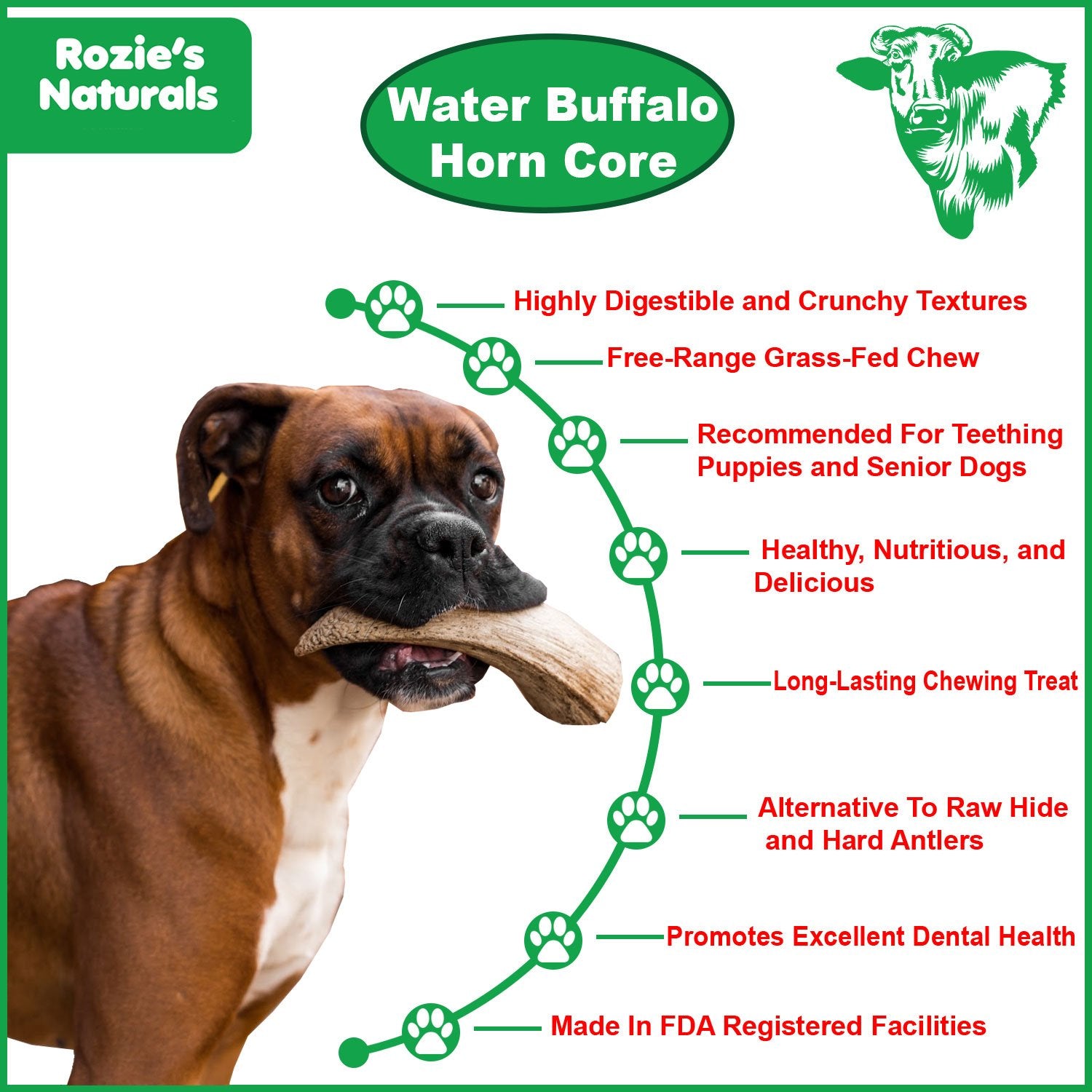 Cornes de Buffle d'Eau à Mastiquer pour Chiens - 2 Comptes