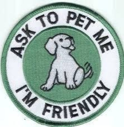 3 Inch Cloth Patch Ask To Animal Me I Am Friendly Chien