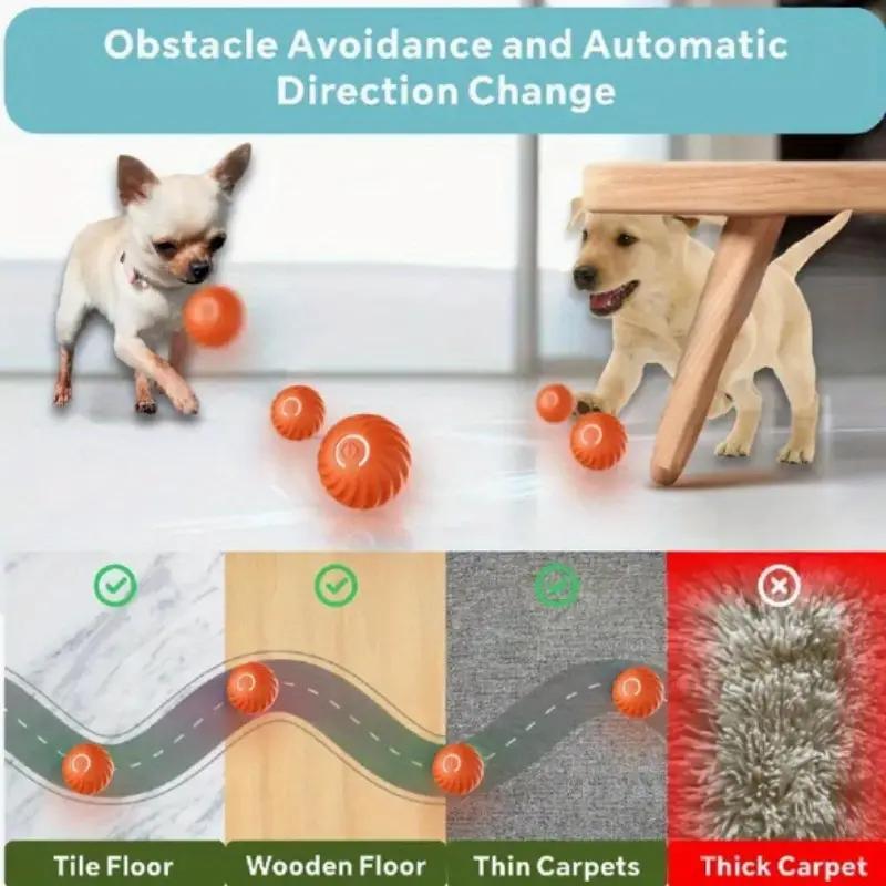 Balle rebondissante bleue et orange pour chats et animaux amusants