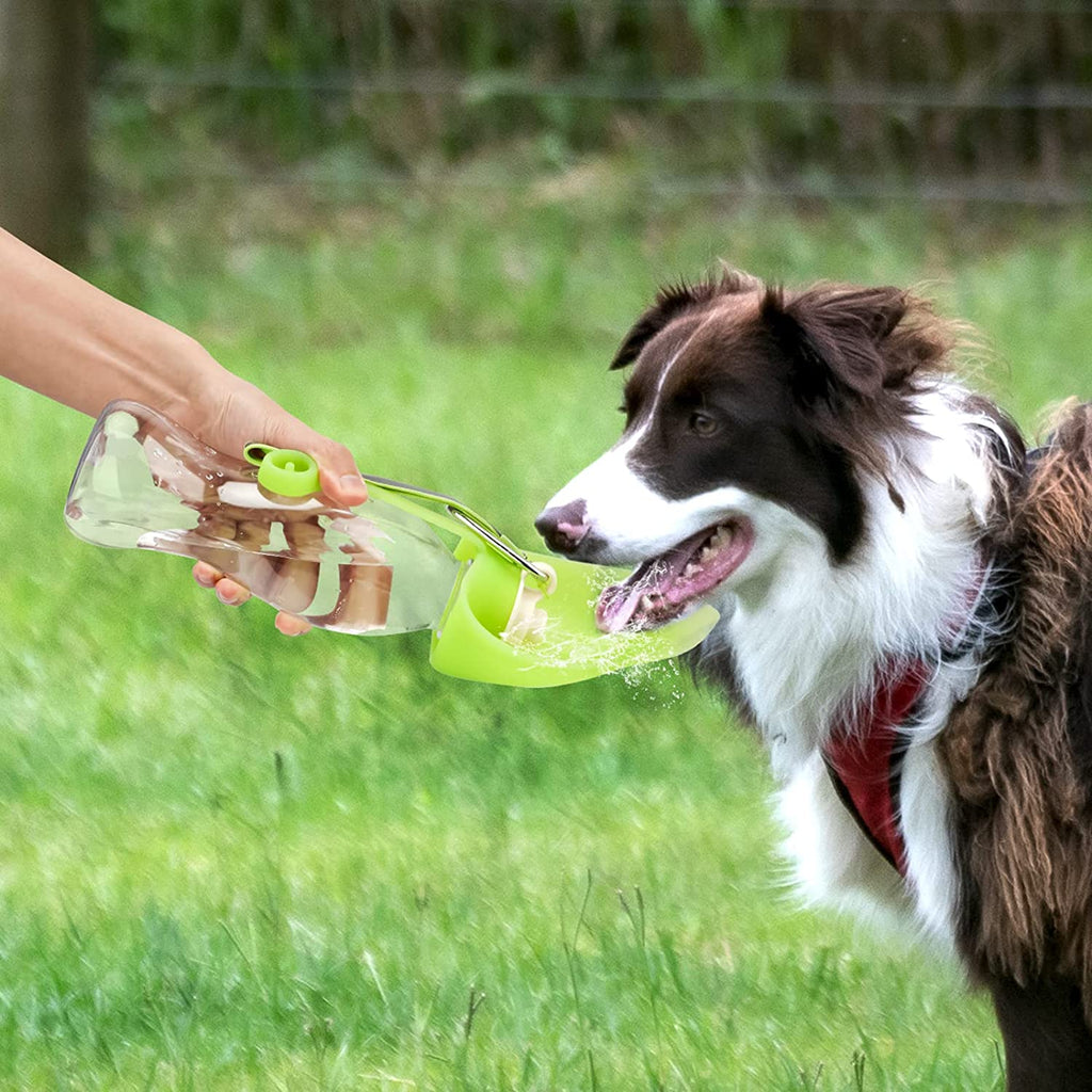 Distributeur d'eau portable pour animaux, étanche