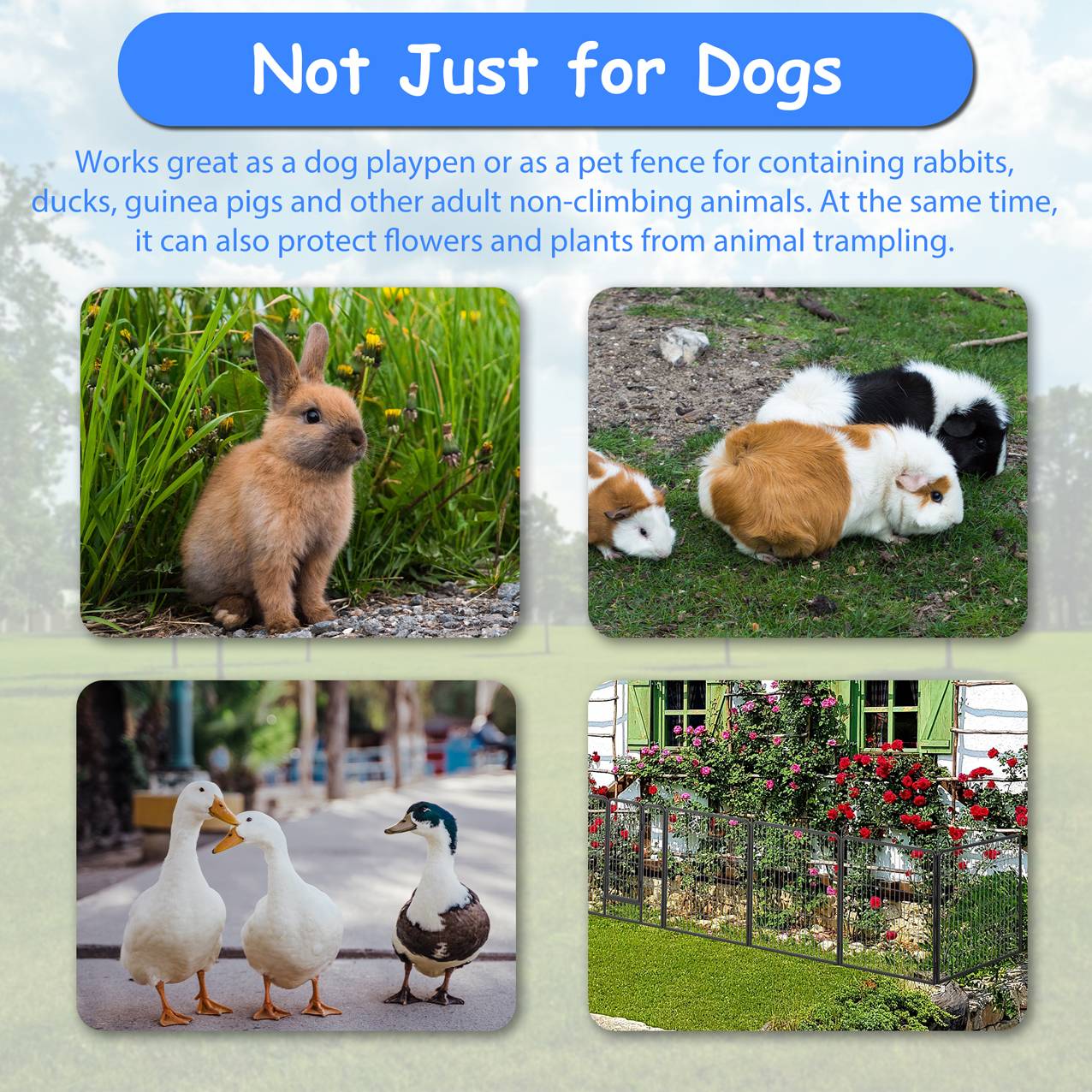 Clôture Extérieure Sécurisée pour Grands Chiens - Liberté de Jeu