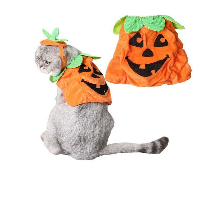 Accessoires de Costume Créatifs pour Chats d'Halloween - Citrouille