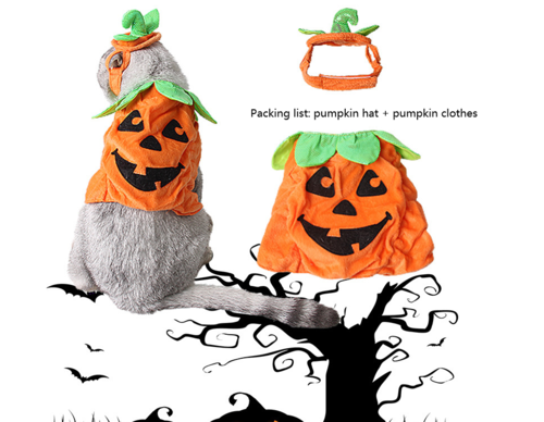 Accessoires de Costume Créatifs pour Chats d'Halloween - Citrouille