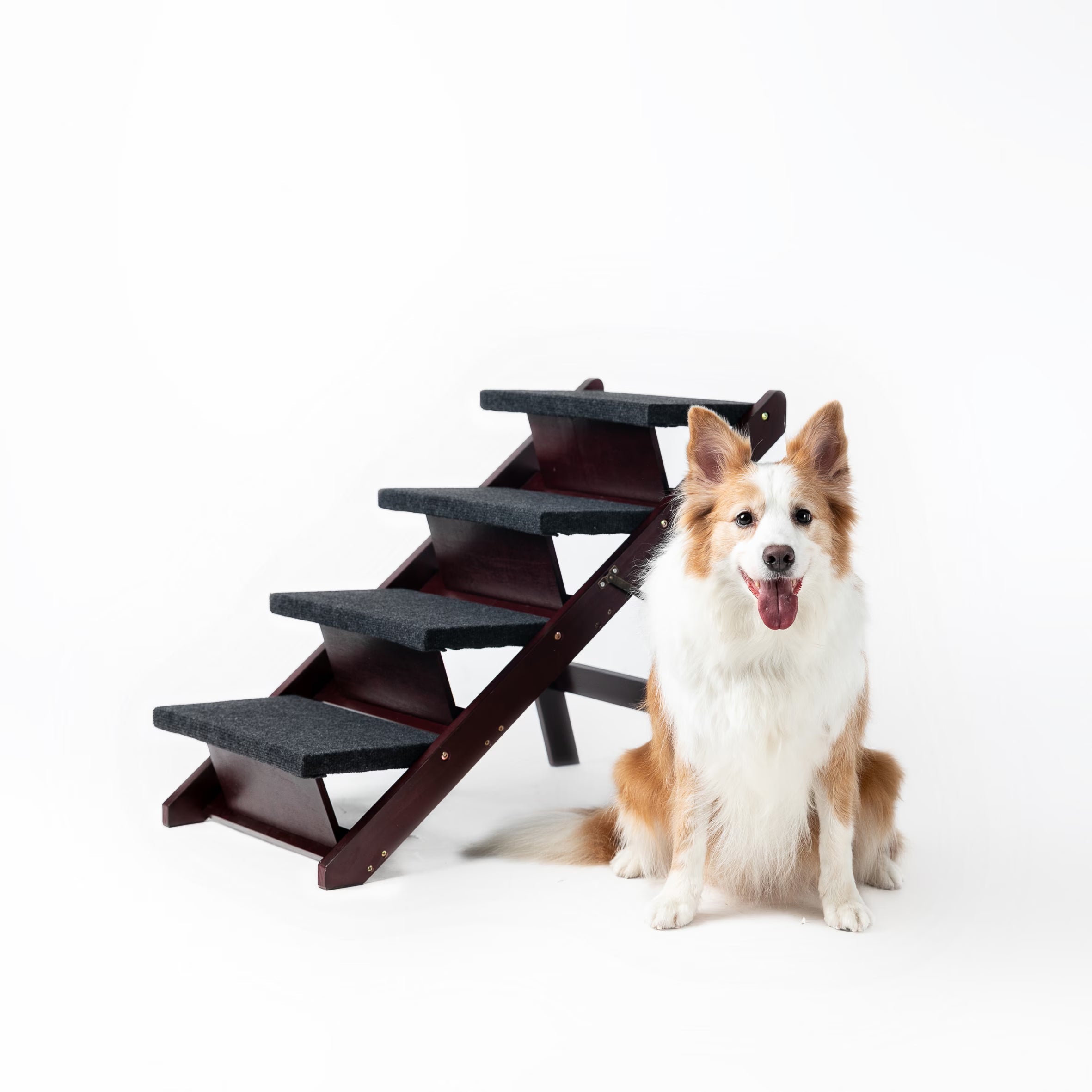 Escaliers en Bois Pliables : Accès Facile pour Votre Animal