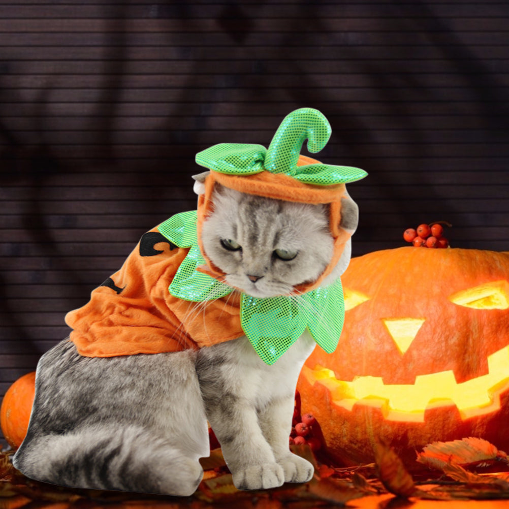 Accessoires de Costume Créatifs pour Chats d'Halloween - Citrouille