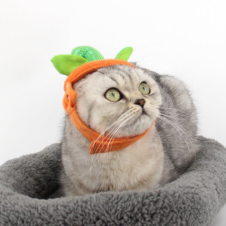 Accessoires de Costume Créatifs pour Chats d'Halloween - Citrouille