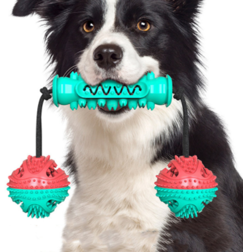 Os en caoutchouc pour chien, brosse à dents intégrée