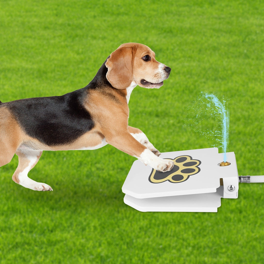 Fontaine d'Eau Extérieure pour Chien - Hydratation Ludique