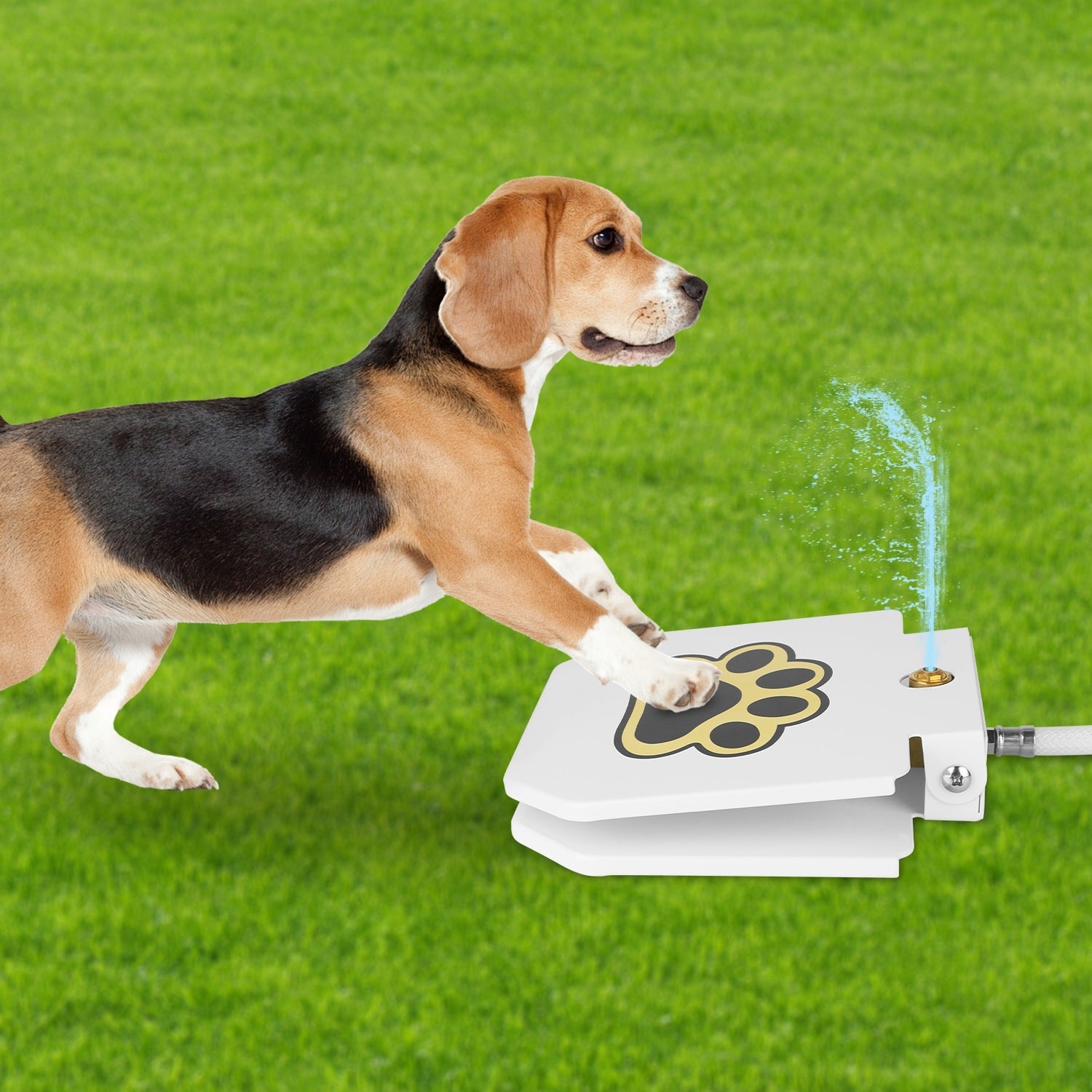 Fontaine d'Eau Extérieure pour Chien - Hydratation Ludique