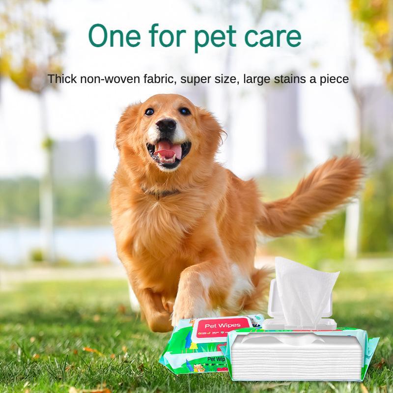 Lingettes Humides pour Chien et Chat, Sans Parfum, à Base de Plantes
