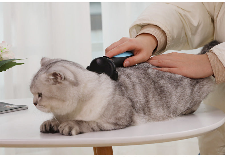 Kit de Brosse de Toilettage pour Chats
