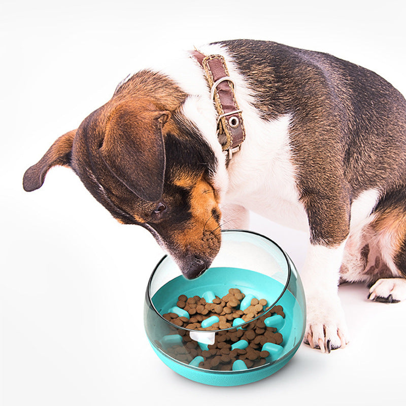 Bol anti-glouton pour chien et chat