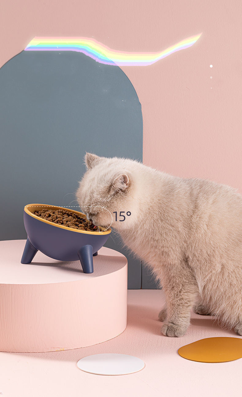 Gamelle pour Chat et Chien avec Support pour Nourriture