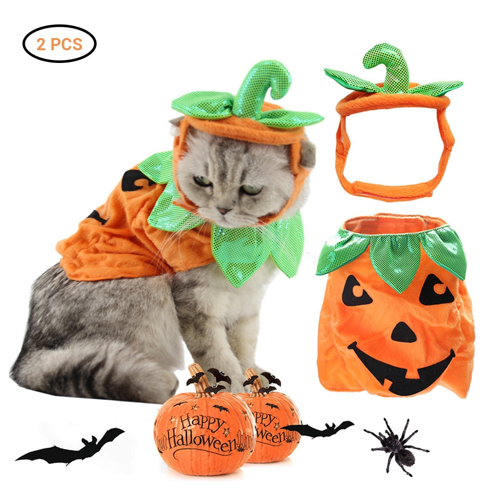 Accessoires de Costume Créatifs pour Chats d'Halloween - Citrouille