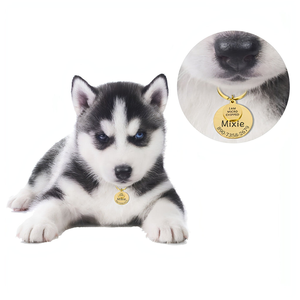 Porte-clés ID Animal Personnalisé – Sécurisez votre compagnon