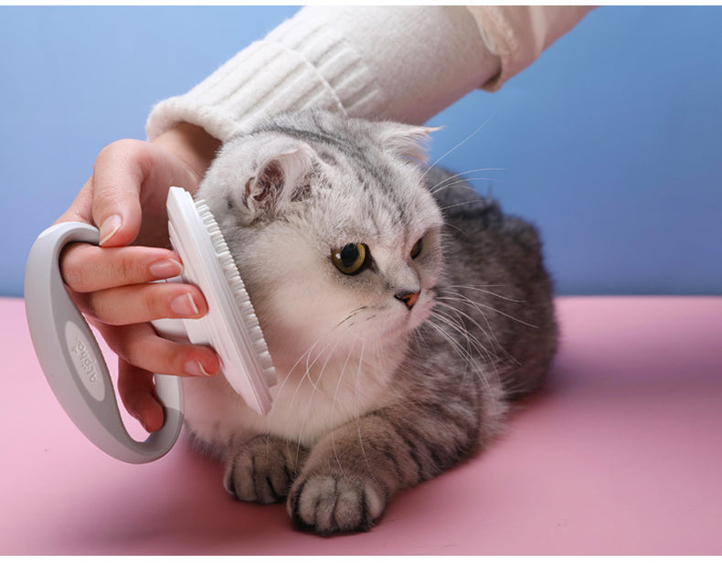 Kit de Brosse de Toilettage pour Chats