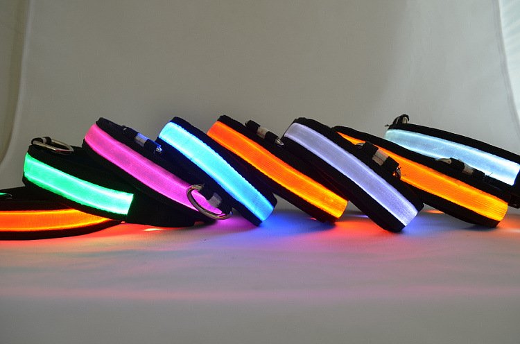 Collier Lumineux LED pour Chien