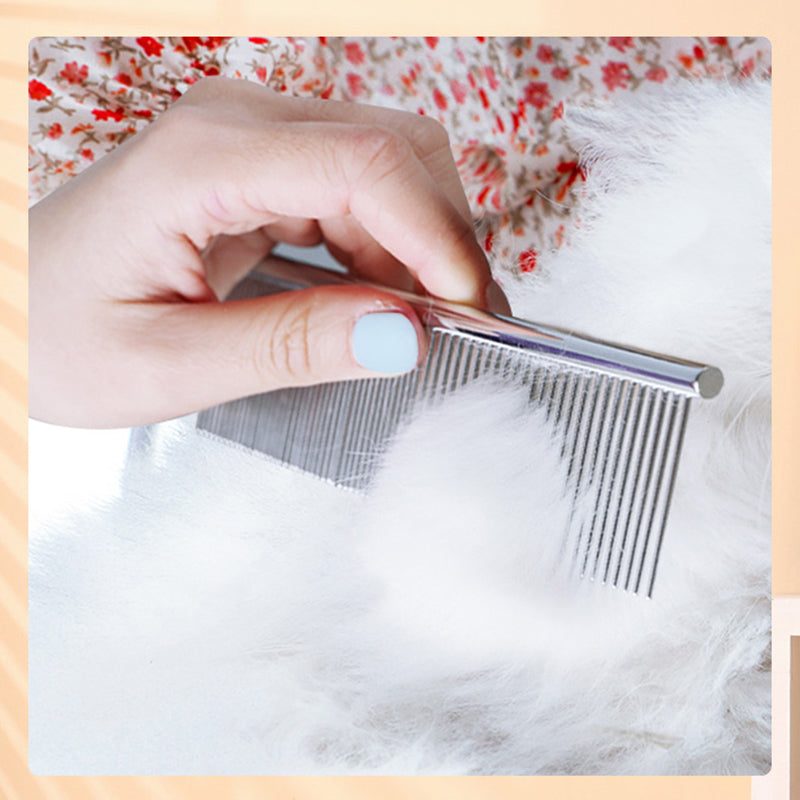 Kit de Brosse de Toilettage pour Chats