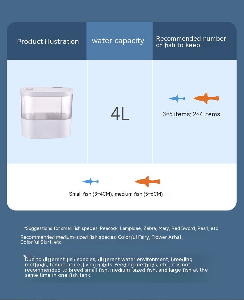 Mini Aquarium de Bureau Écologique