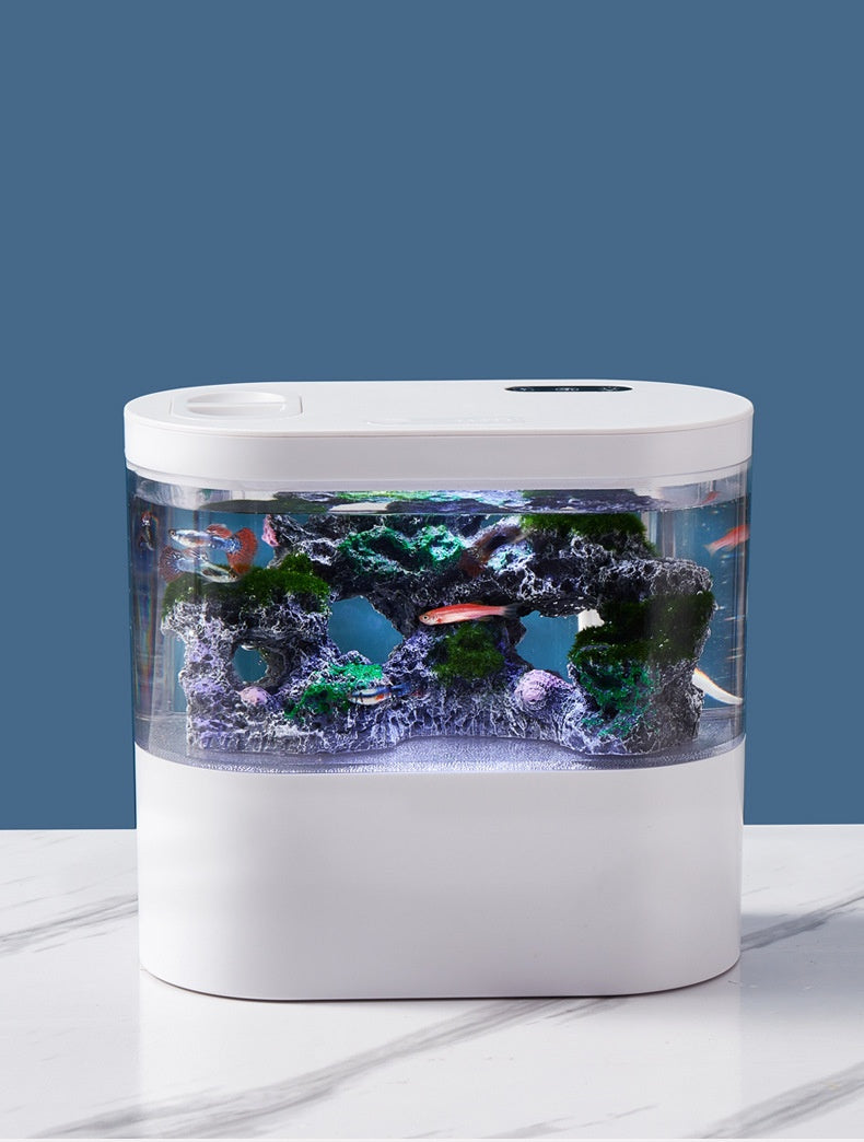 Mini Aquarium de Bureau Écologique