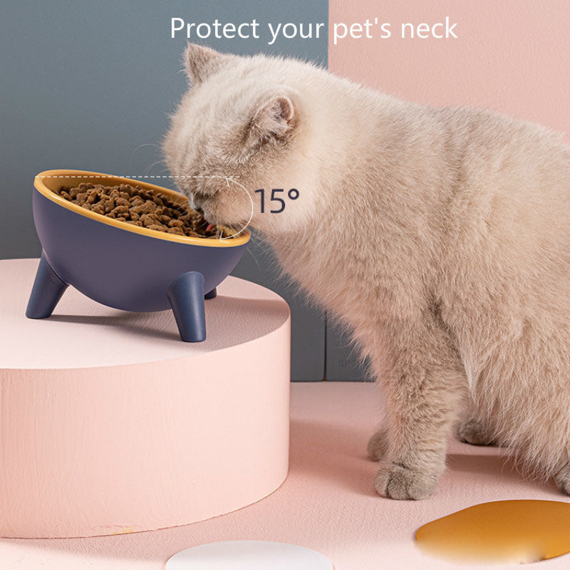 Gamelle pour Chat et Chien avec Support pour Nourriture