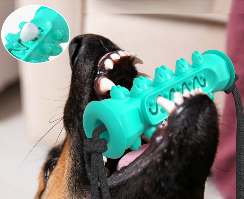 Os en caoutchouc pour chien, brosse à dents intégrée