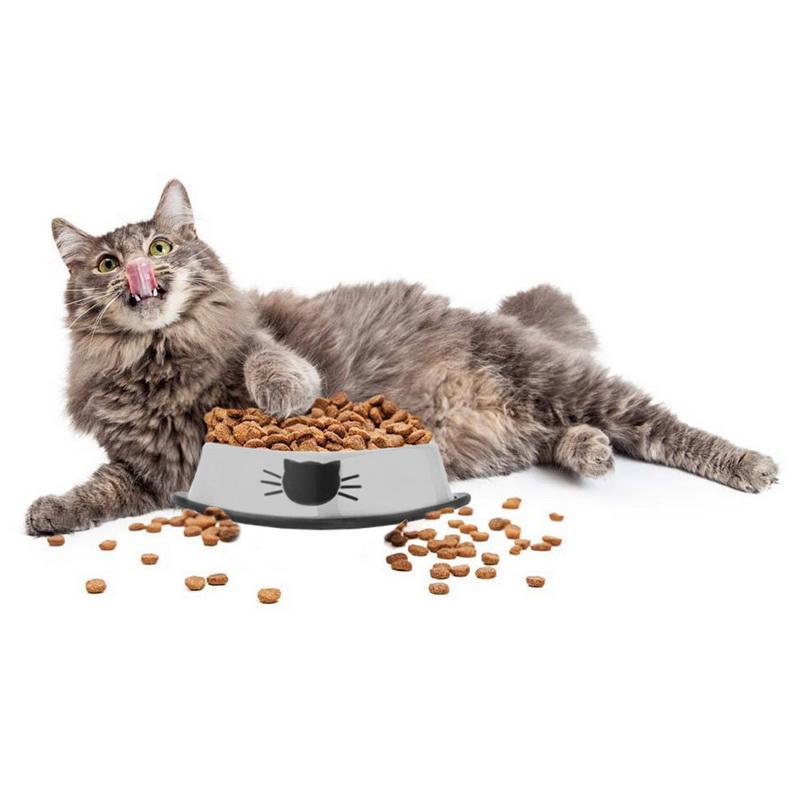 Gamelle en Acier Inoxydable pour Animaux