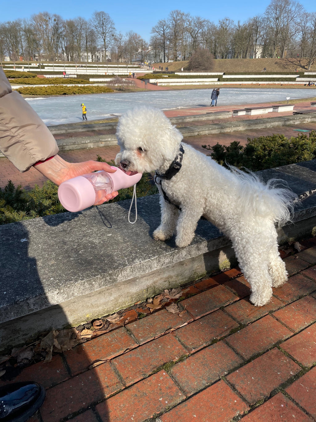Bouteille portable pour nourriture et eau pour animaux