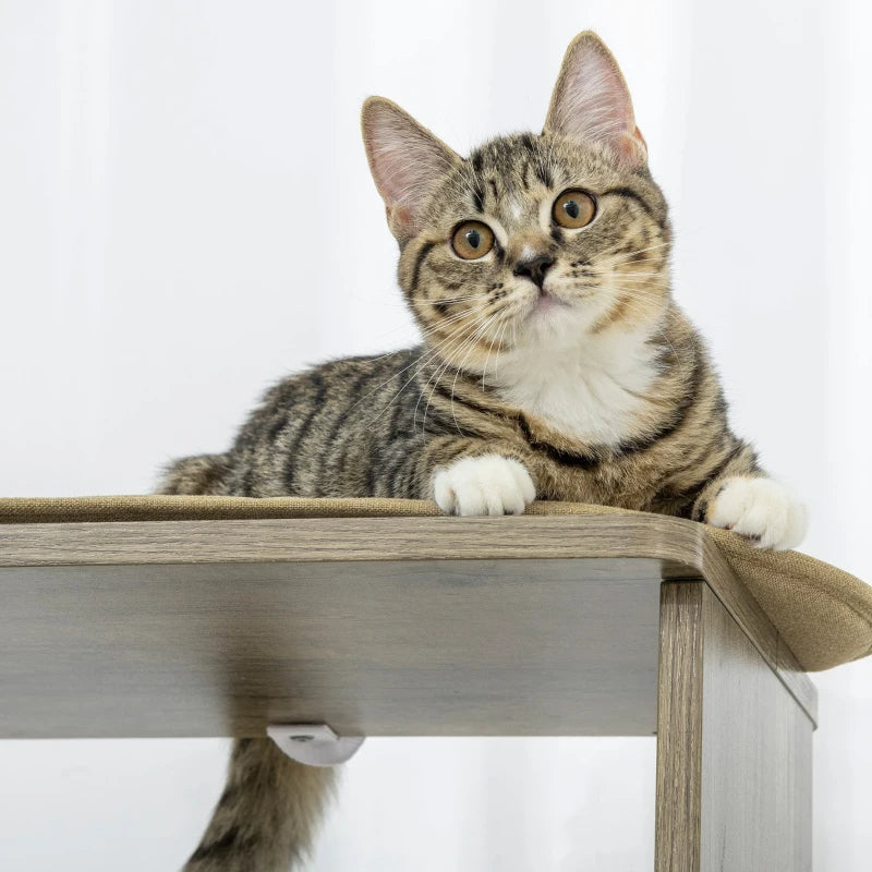 Arbre à chat moderne d'angle haut pour grimper, grande tour à chat multilevel