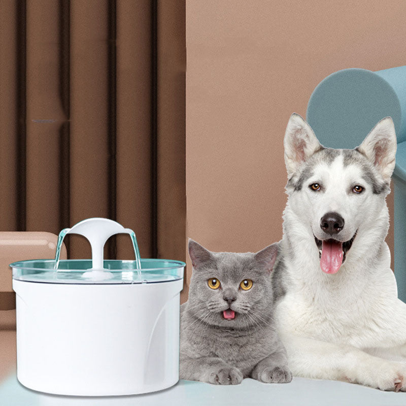 Fontaine à Eau Automatique pour Chiens et Chats