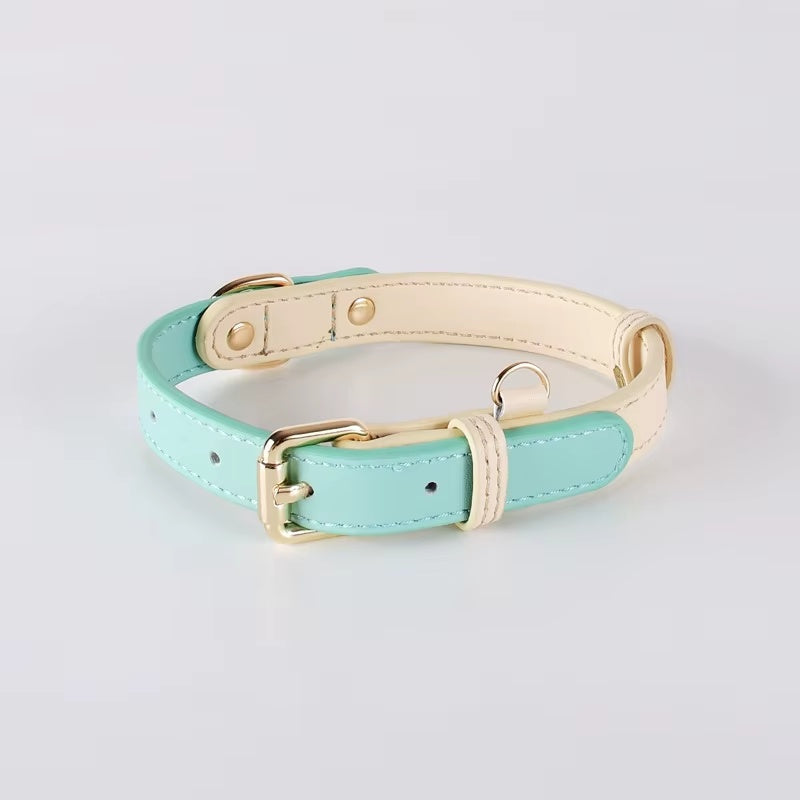 Collier pour chien S M L