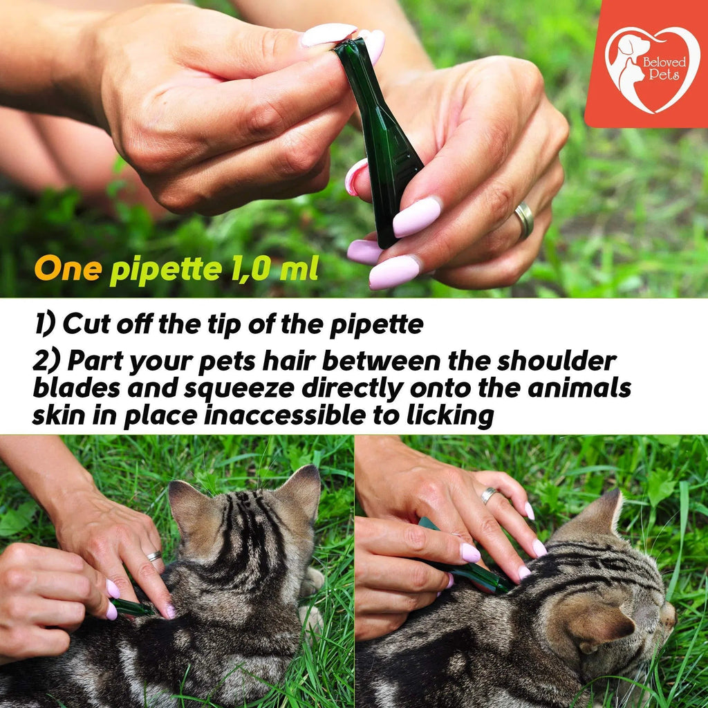 Prévention des puces et tiques pour chiens, chats et lapins - Traitement naturel contre les puces