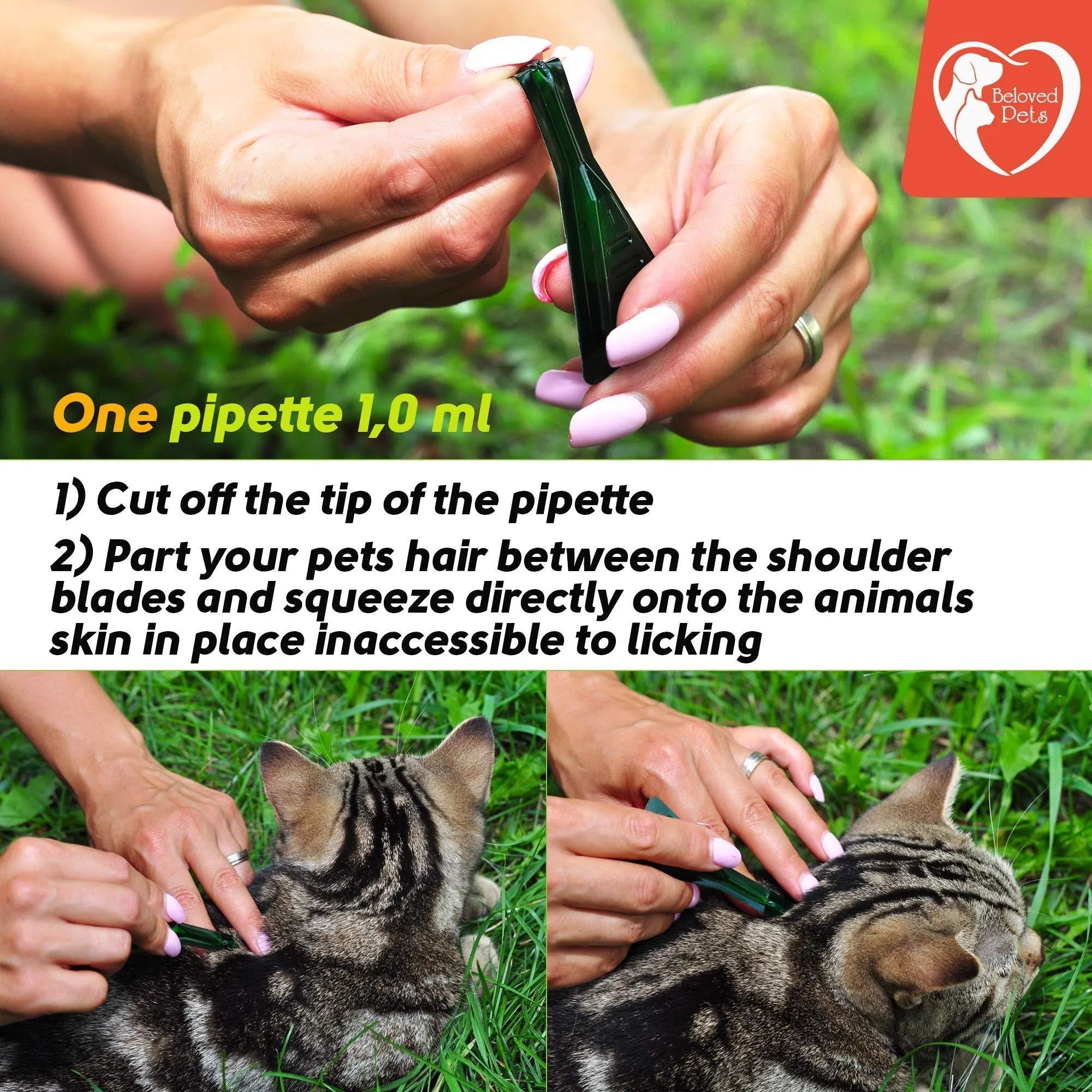 Prévention des puces et tiques pour chiens, chats et lapins - Traitement naturel contre les puces