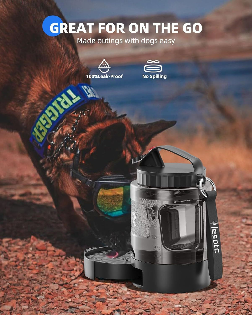 Bouteille d'Eau de Voyage pour Chien, Grande Capacité