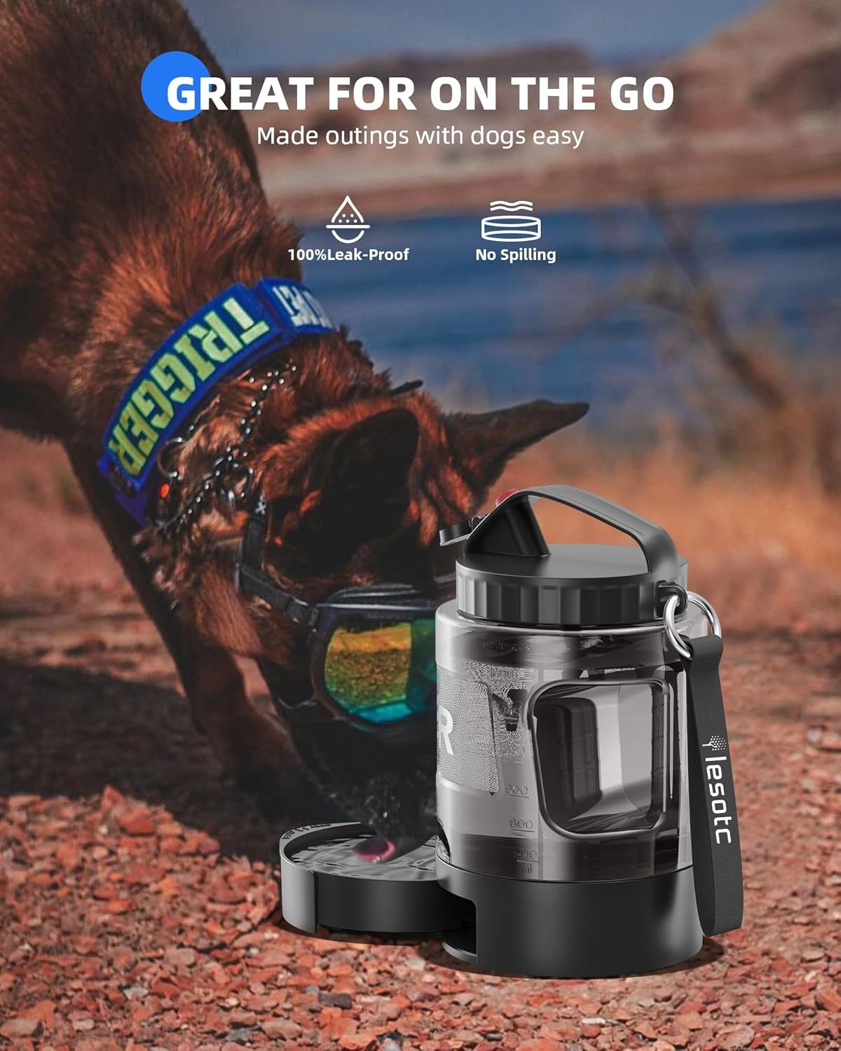 Bouteille d'Eau de Voyage pour Chien, Grande Capacité
