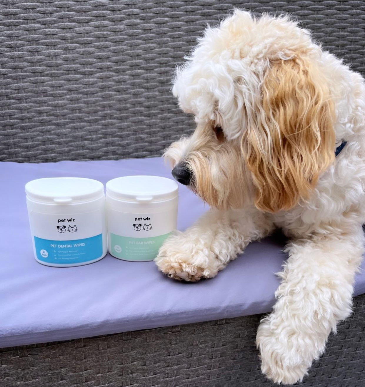 Lingettes Auriculaires pour Chiens & Chats