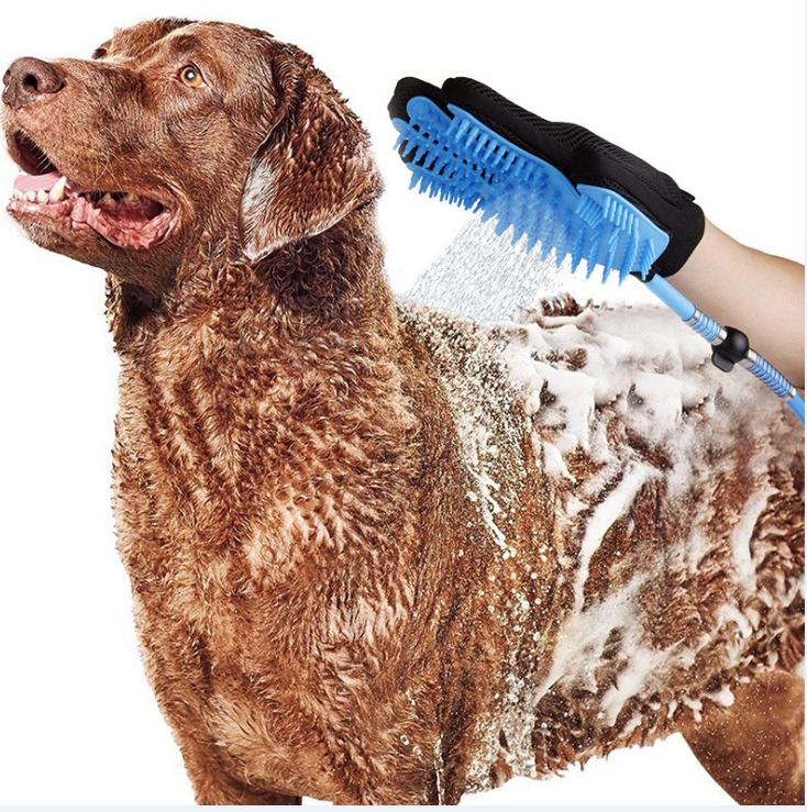 Douche Portable pour Chien